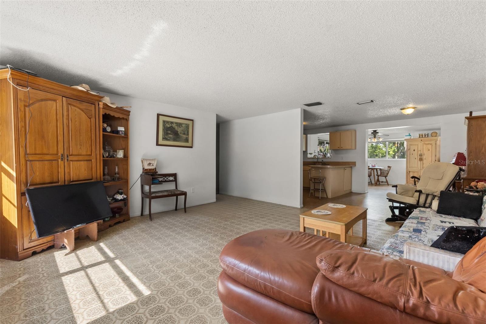 12631 Hobson Simmons, Lithia, FL 33547