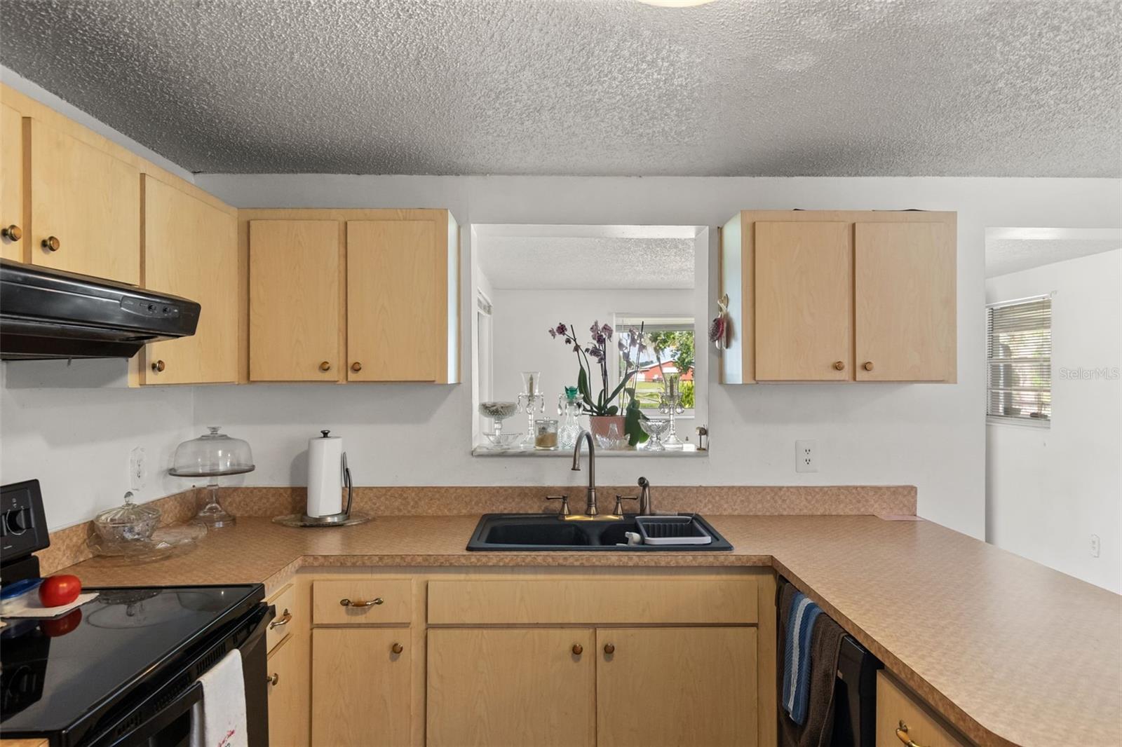 12631 Hobson Simmons, Lithia, FL 33547
