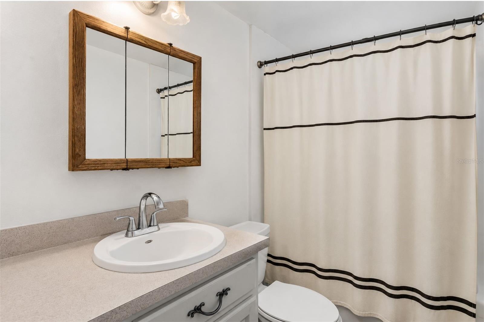 12631 Hobson Simmons, Lithia, FL 33547
