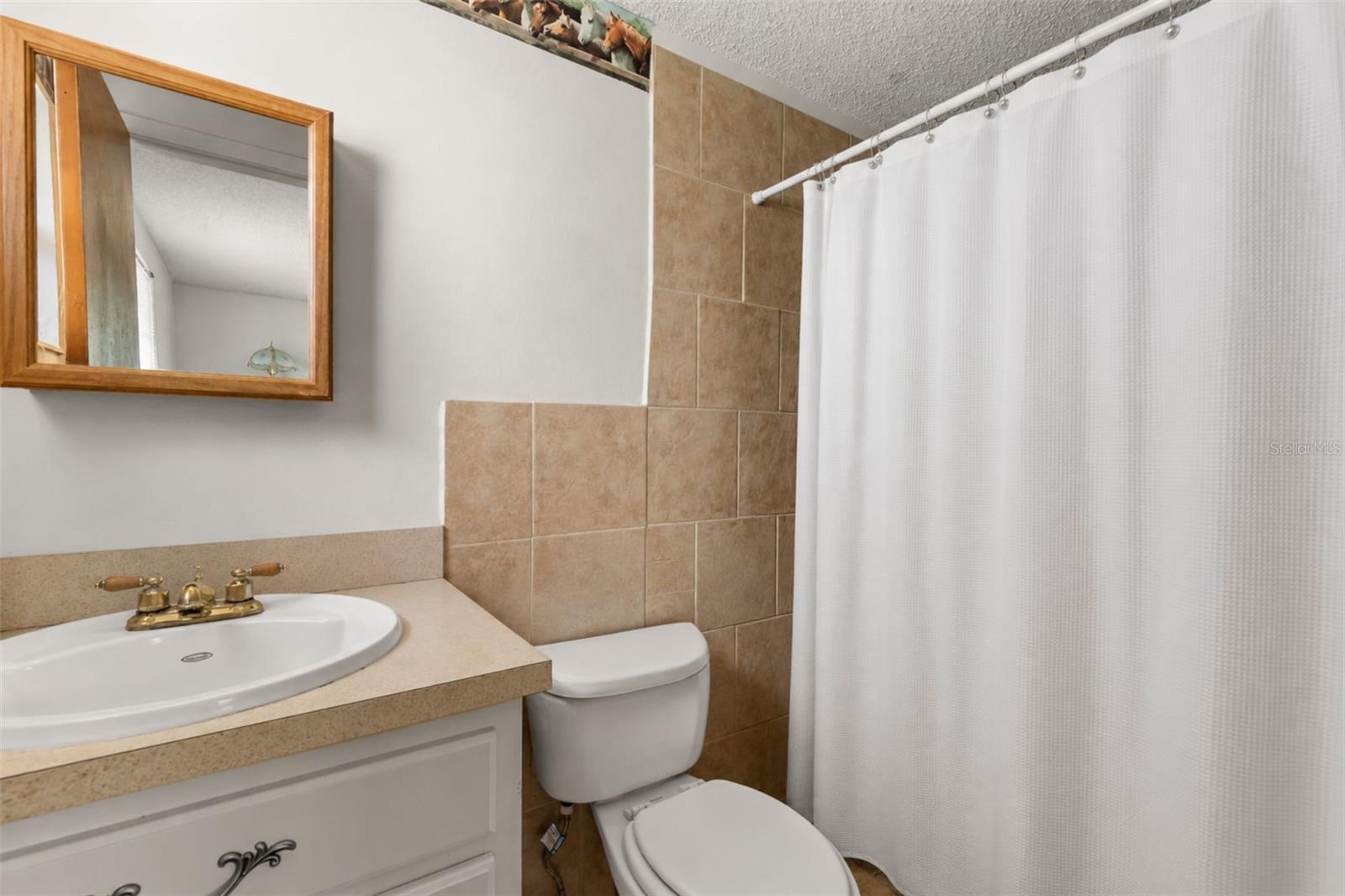 12631 Hobson Simmons, Lithia, FL 33547
