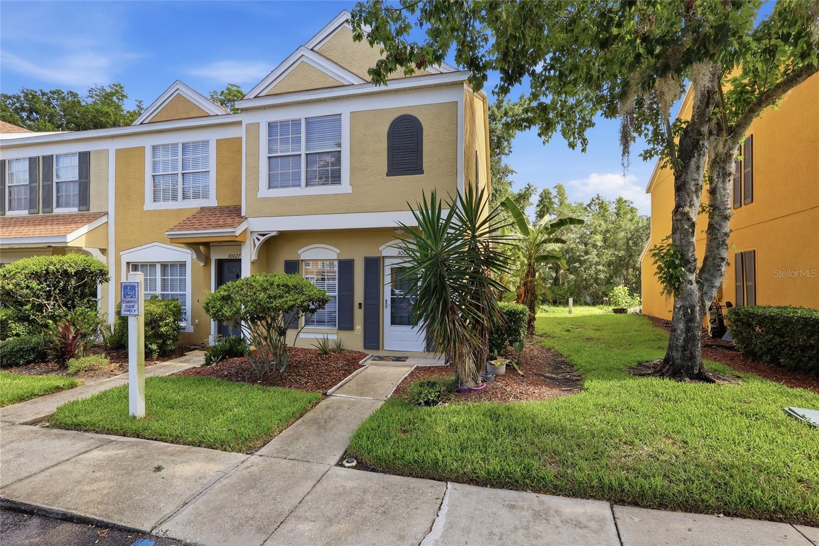 30029 Granda Hills, Wesley Chapel, FL 33543