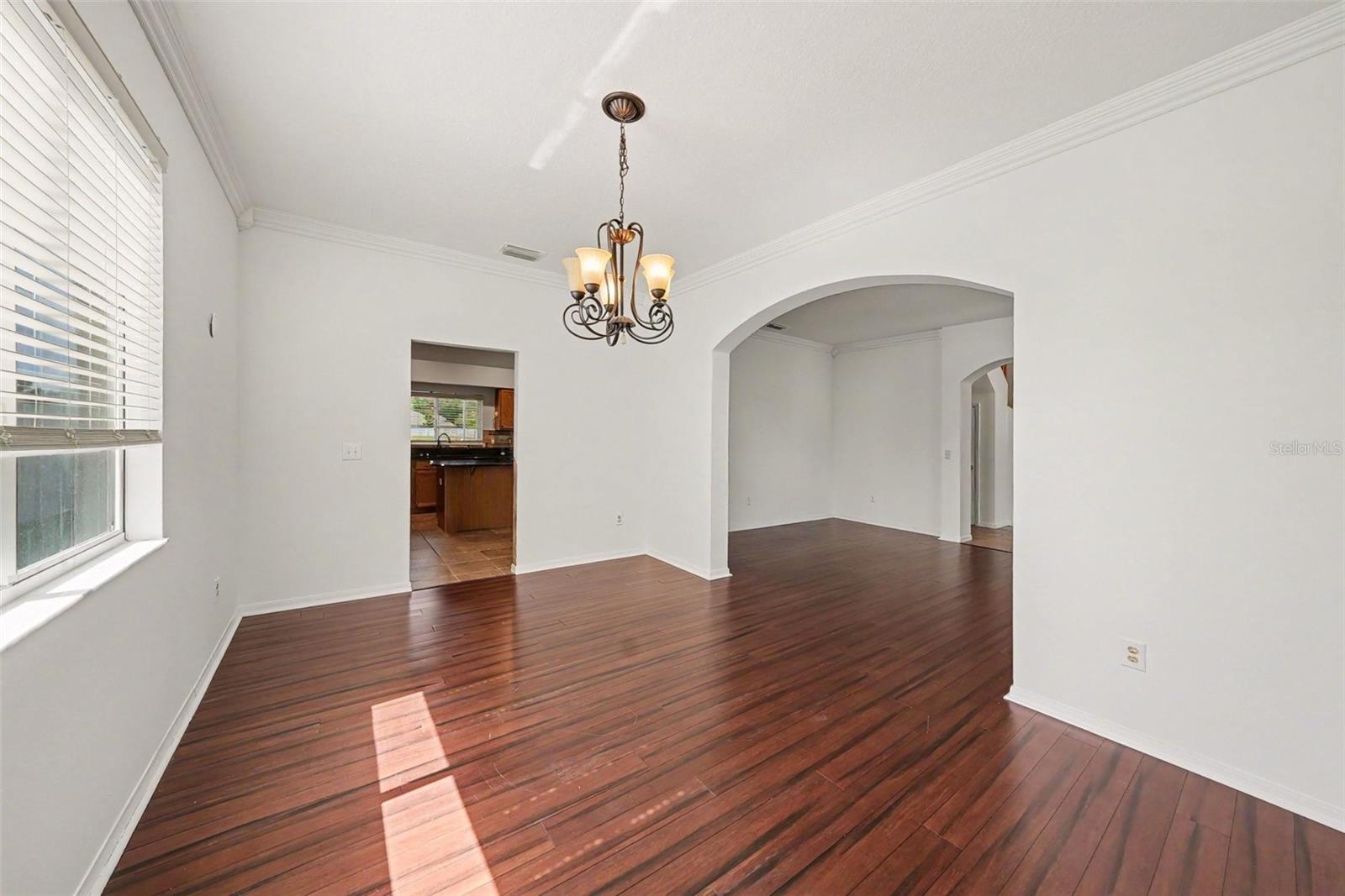 4227 Balington, Valrico, FL 33596