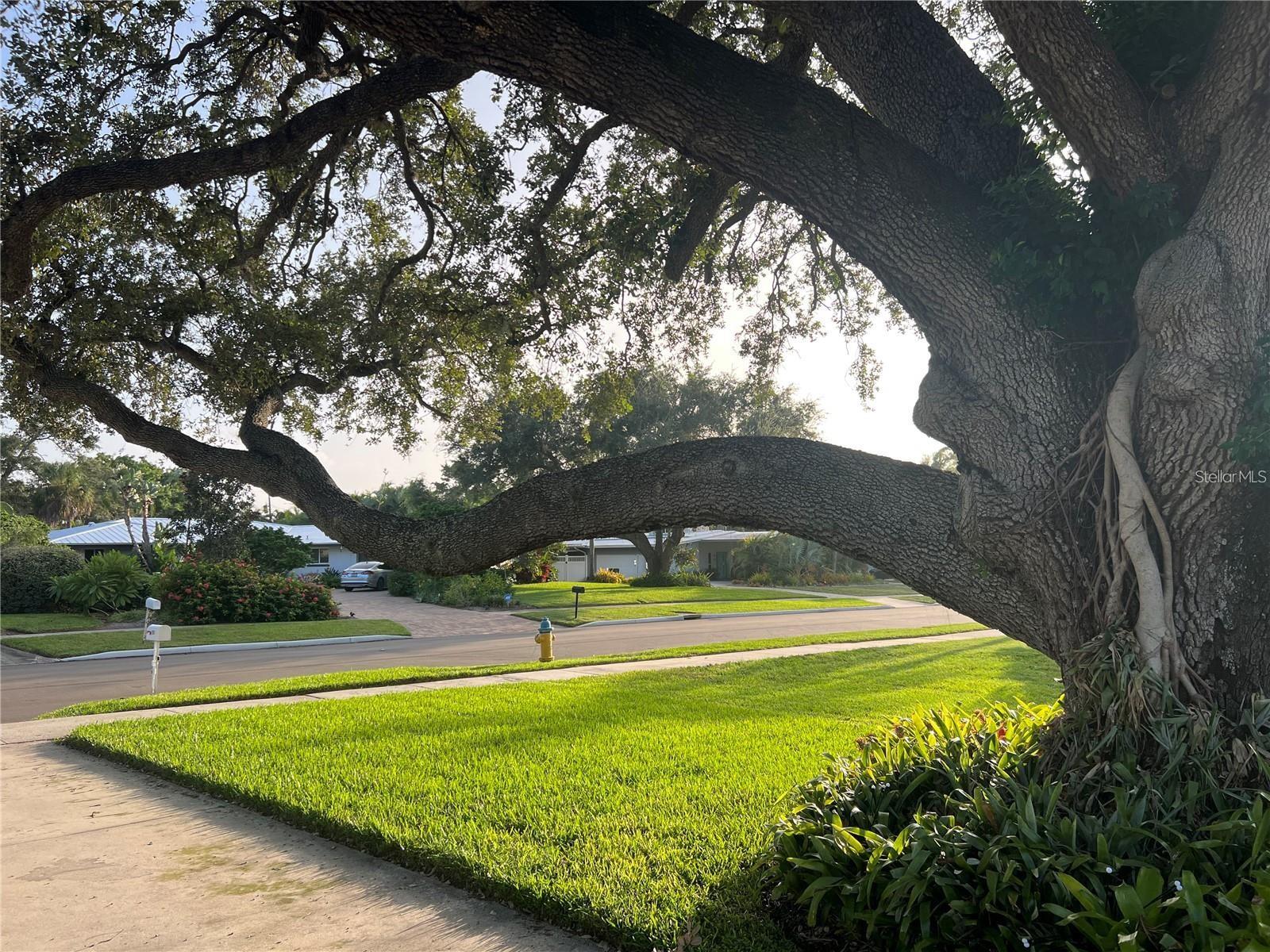 329 Bernard, Sarasota, FL 34243