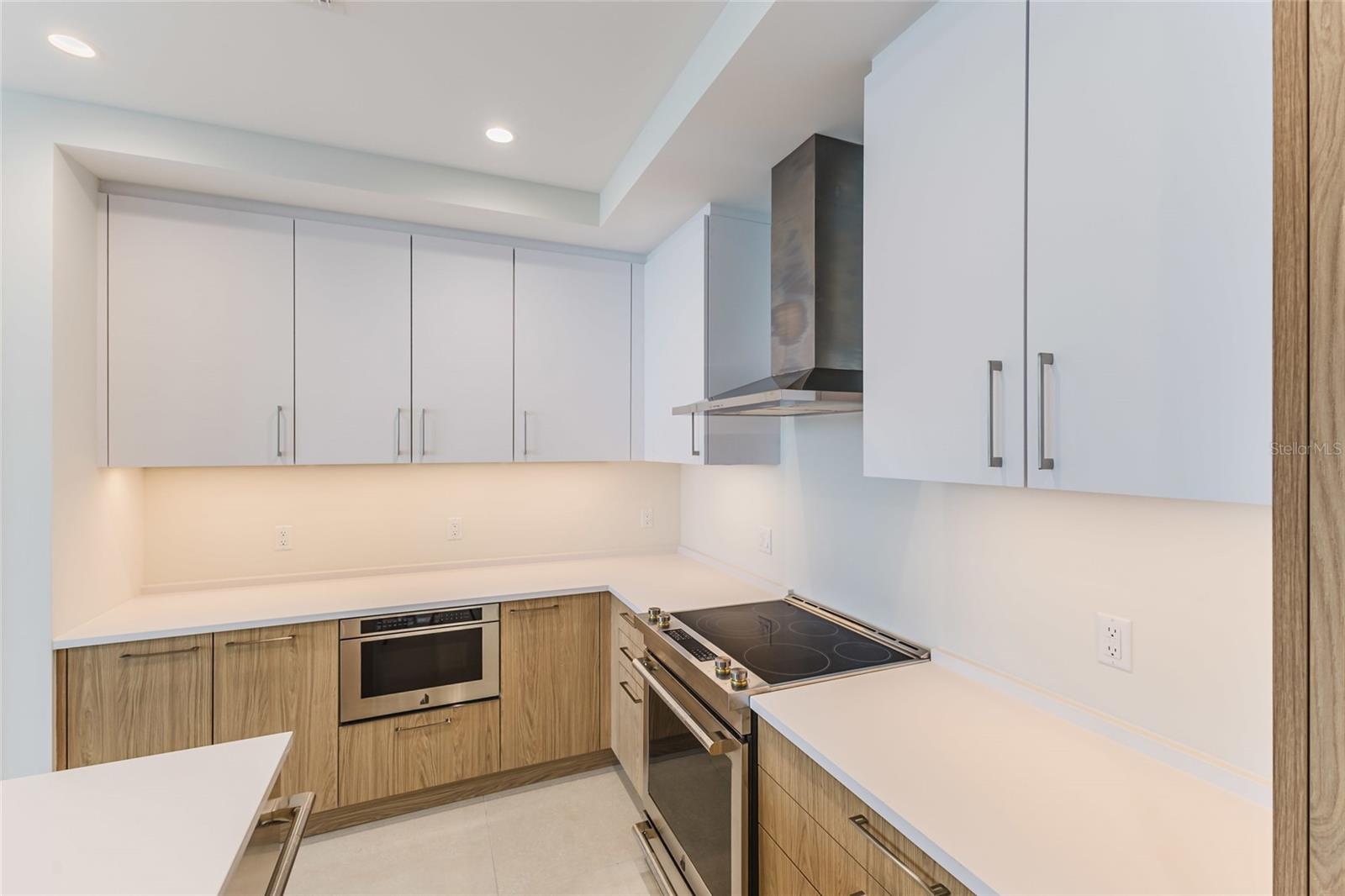275 1st Unit 3908, St Petersburg, FL 33701