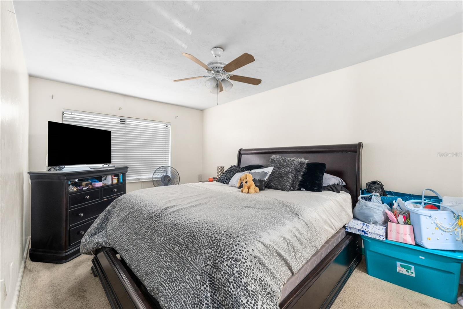3312 52nd, Gainesville, FL 32606
