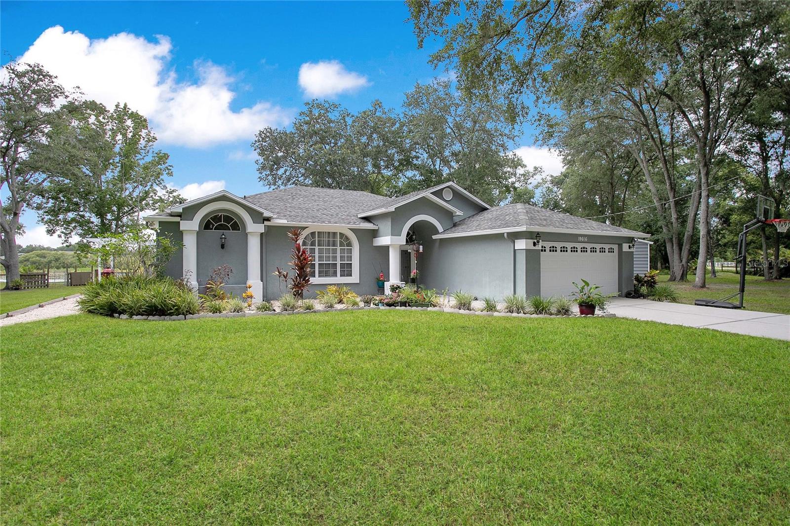 19616 Livingston, Lutz, FL 33559