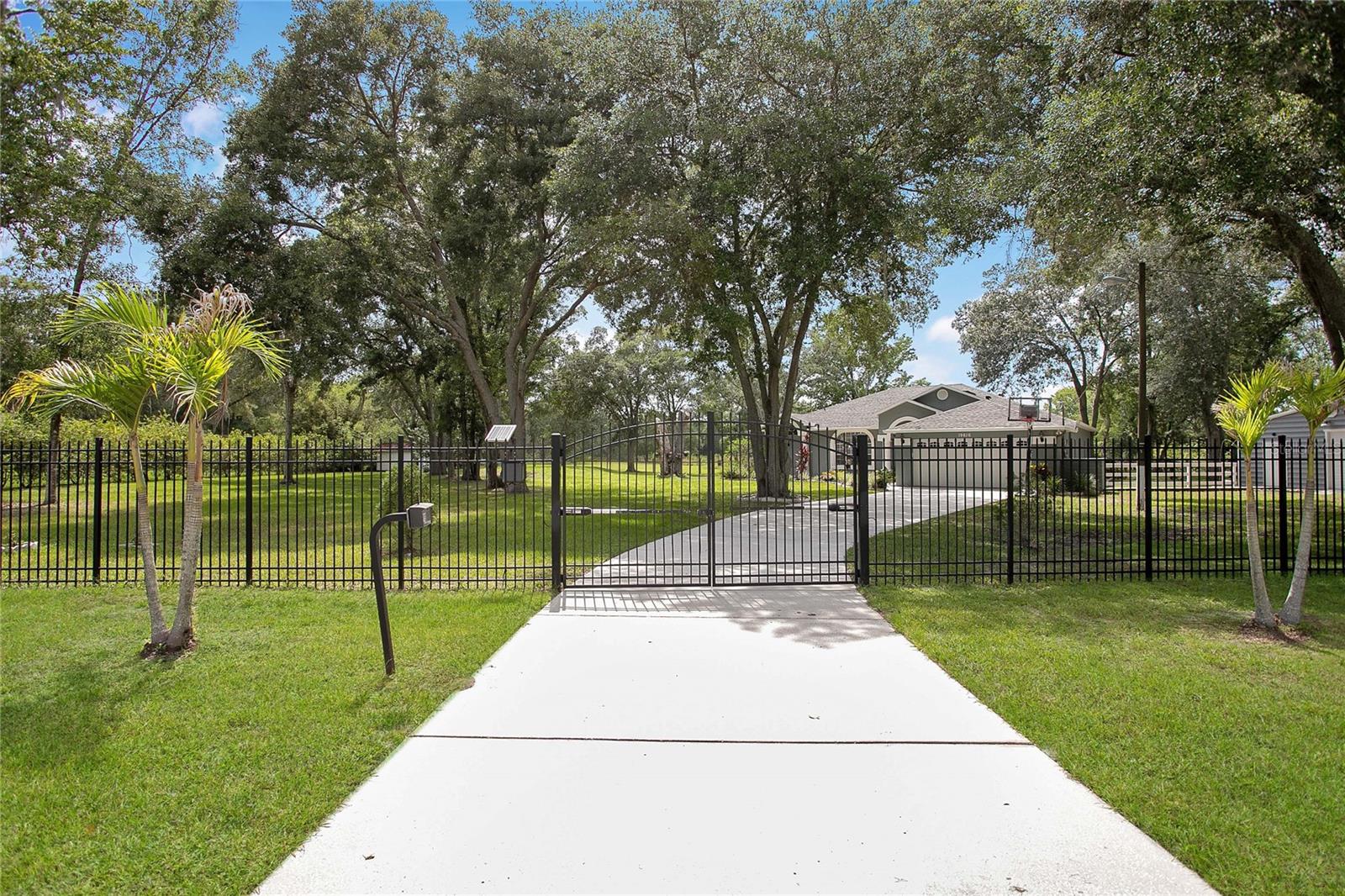 19616 Livingston, Lutz, FL 33559