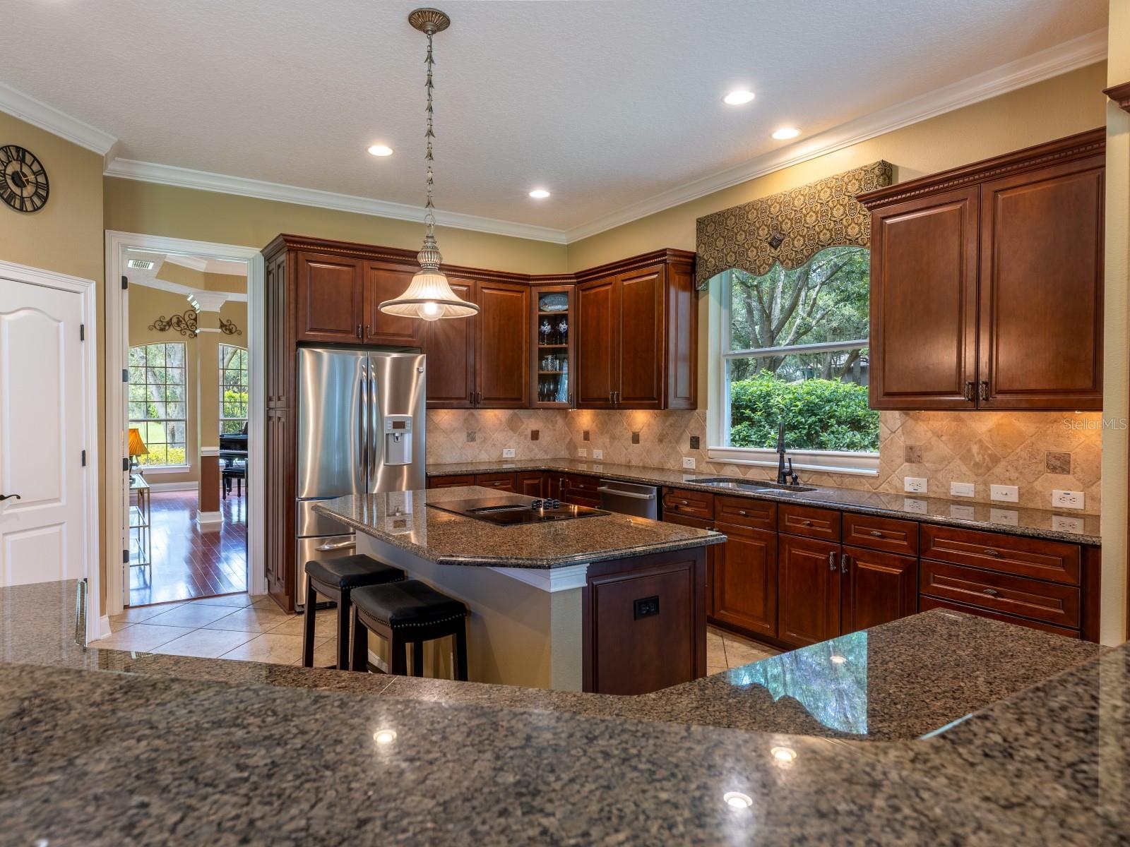 25846 Feather Ridge, Sorrento, FL 32776
