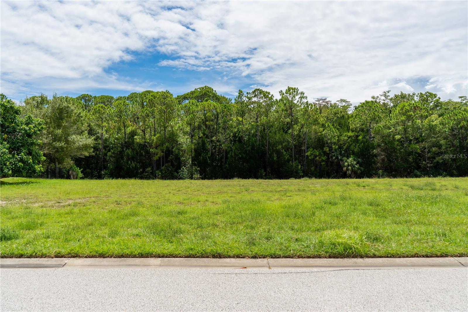 4050 Jewfish, Hudson, FL 34667