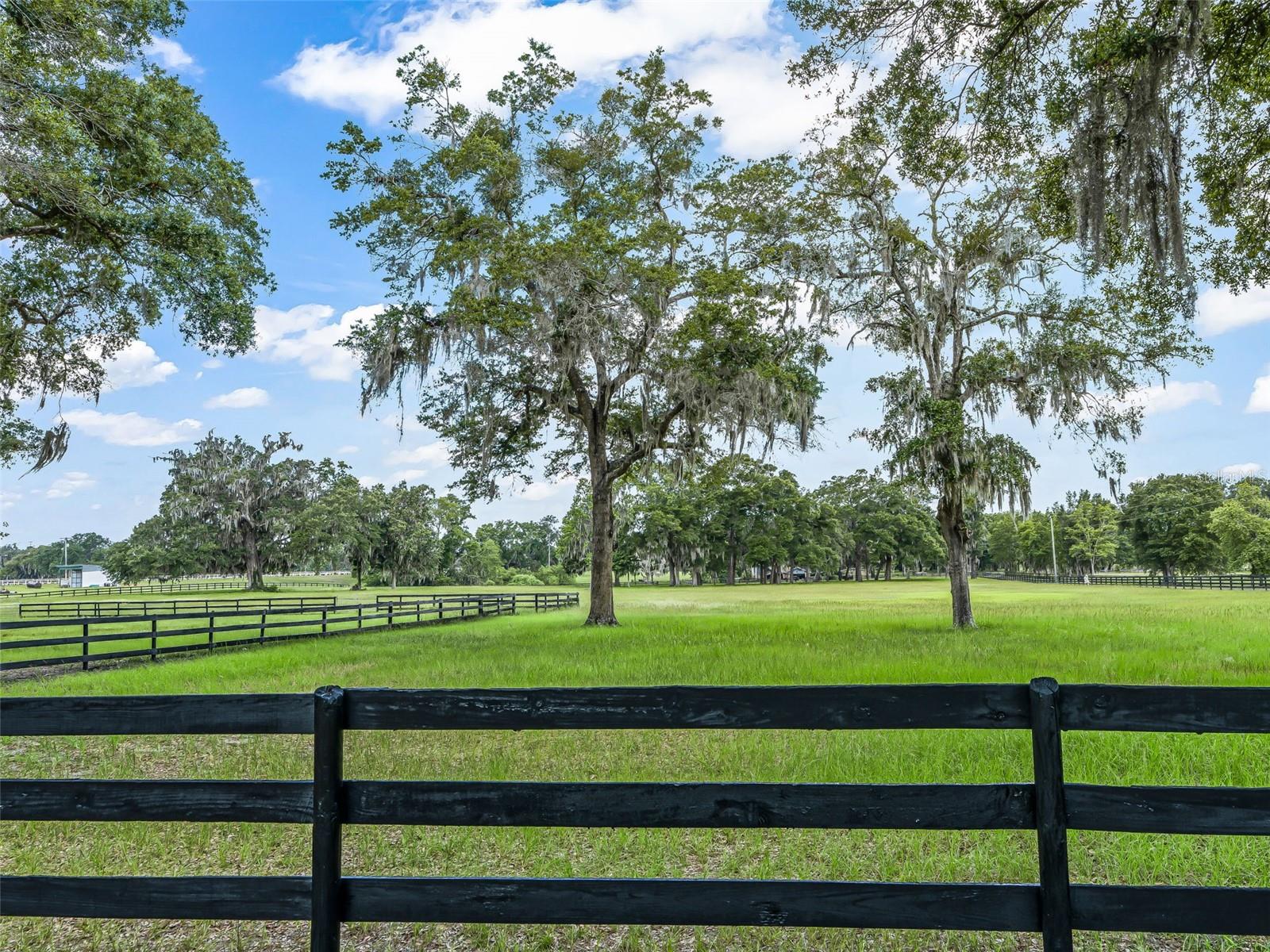 12941 8th, Ocala, FL 34473
