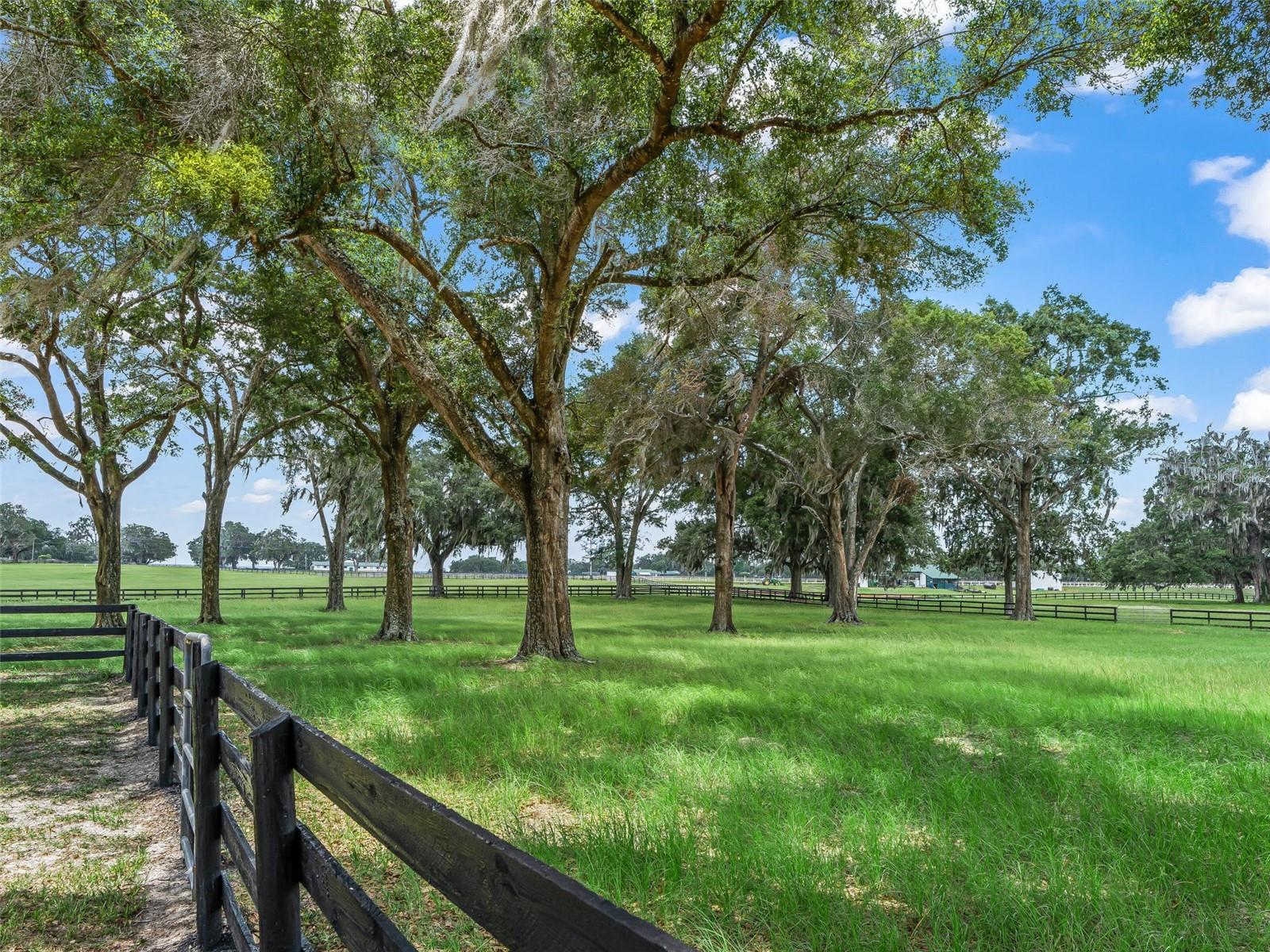 12941 8th, Ocala, FL 34473