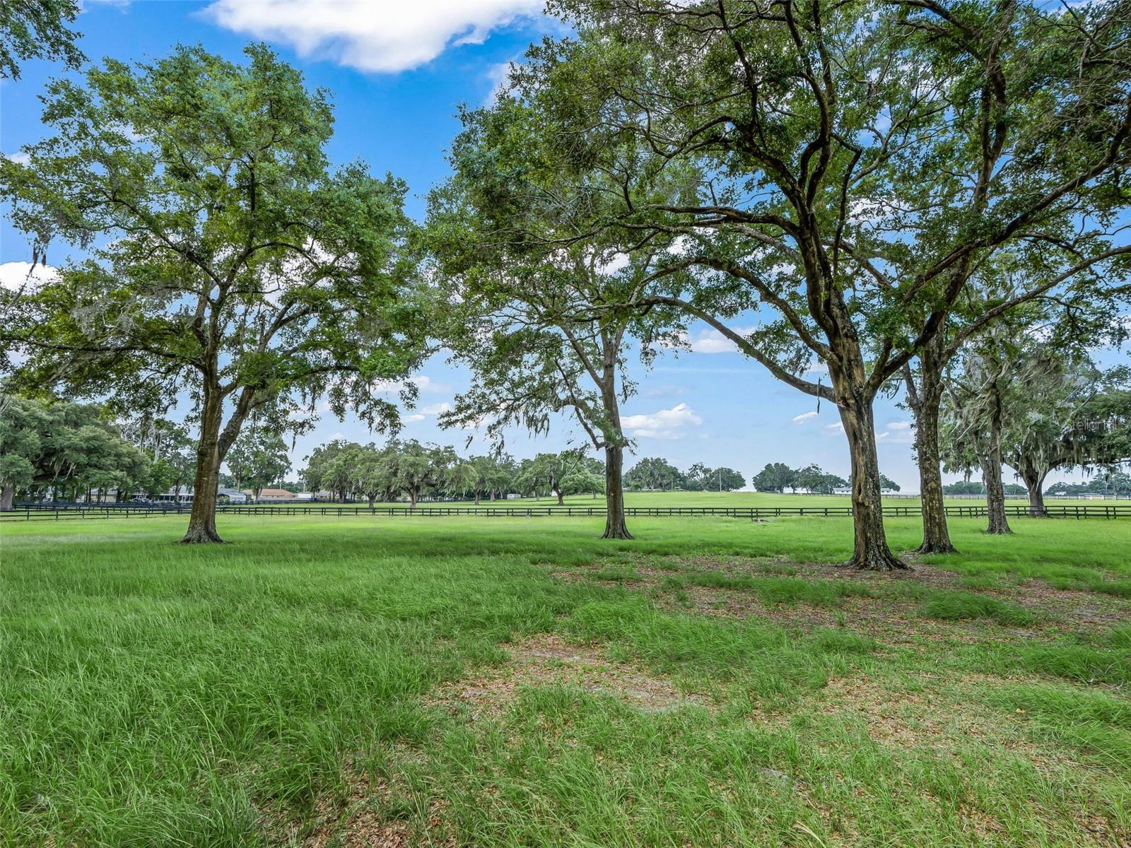 12941 8th, Ocala, FL 34473