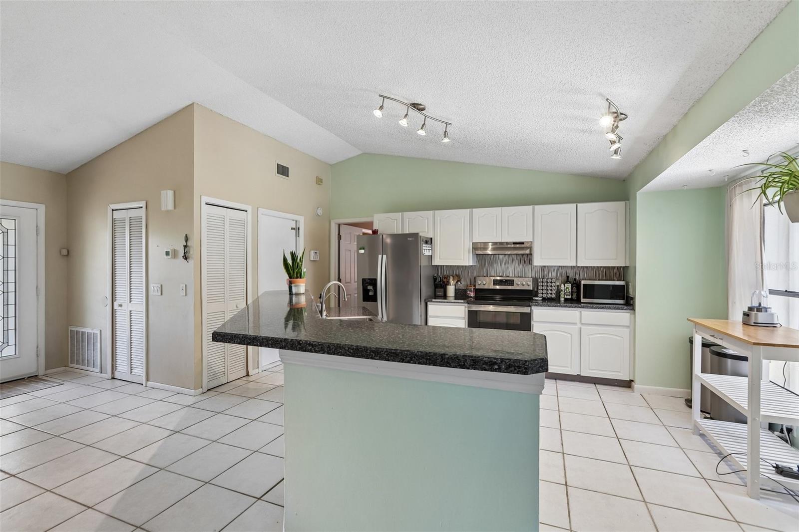 6805 Longpointe, Tampa, FL 33615