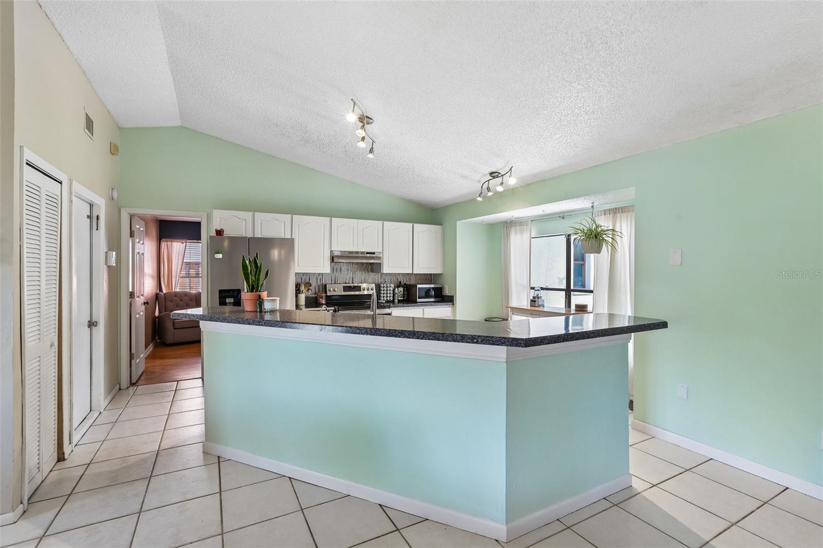 6805 Longpointe, Tampa, FL 33615