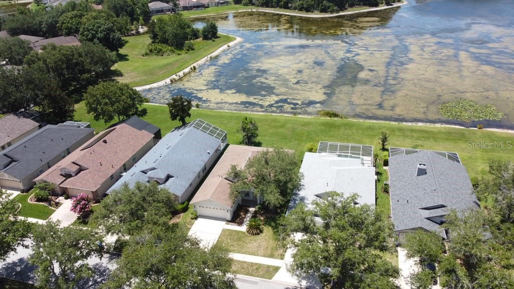 18014 Arbor Crest, Tampa, FL 33647