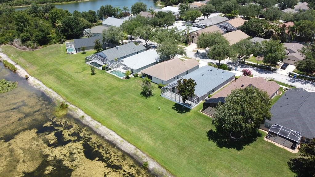 18014 Arbor Crest, Tampa, FL 33647