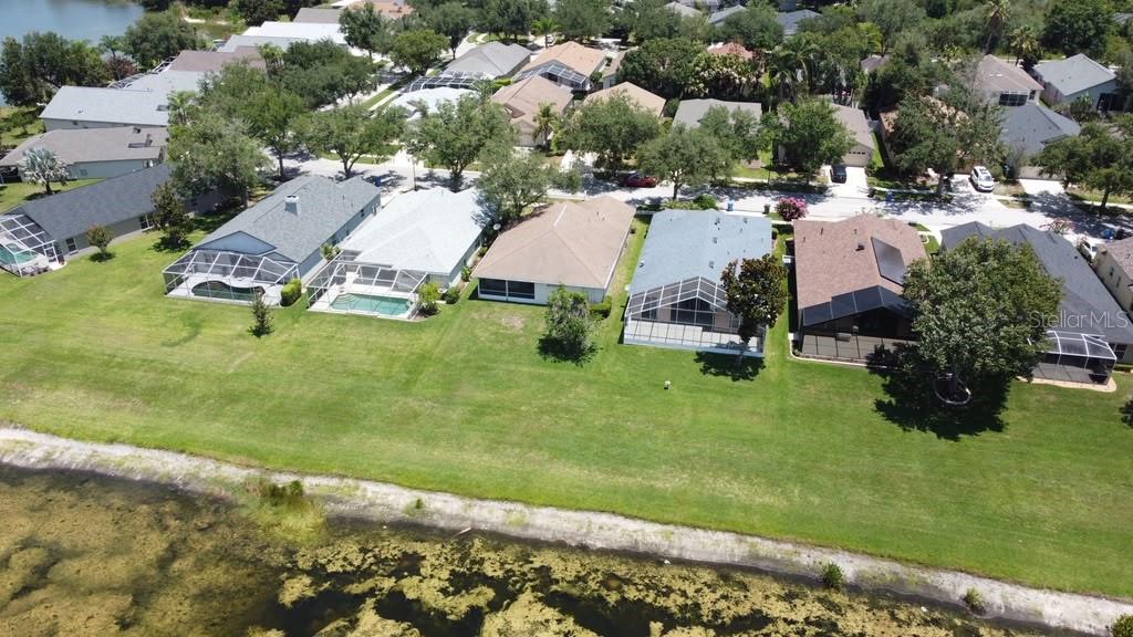 18014 Arbor Crest, Tampa, FL 33647