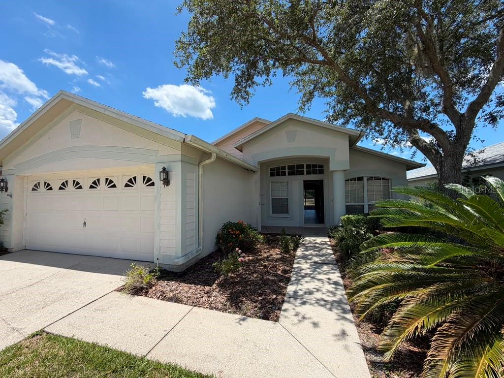 18014 Arbor Crest, Tampa, FL 33647