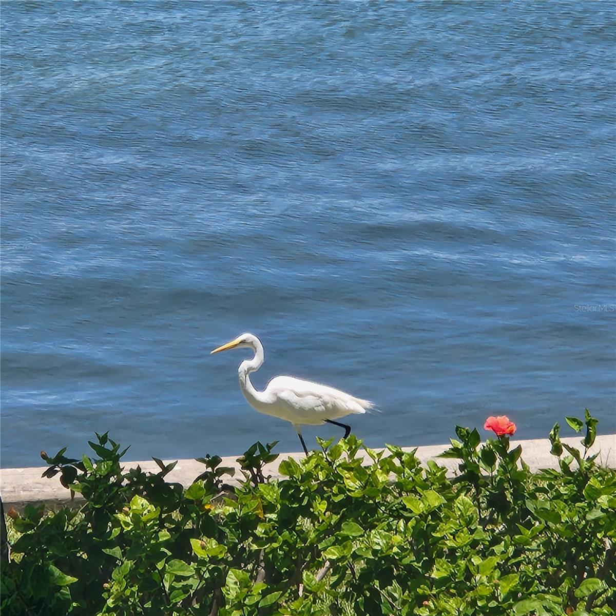 777 John Ringling Unit 24, Sarasota, FL 34236