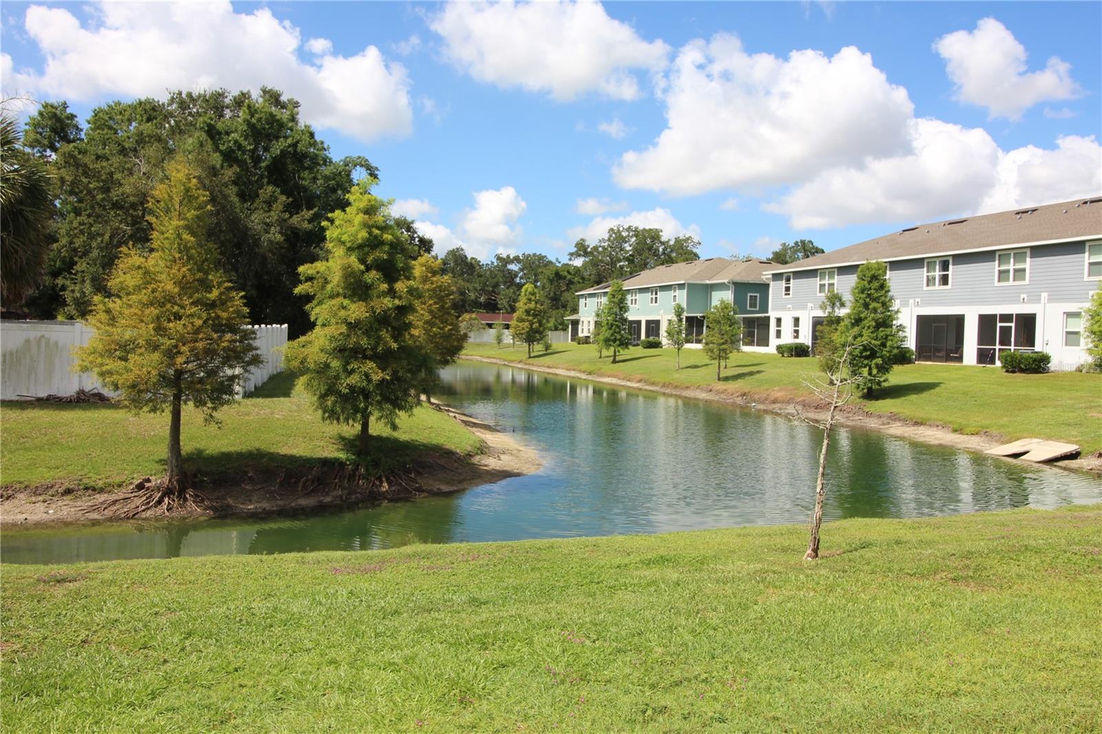 2135 Laceflower, Brandon, FL 33510