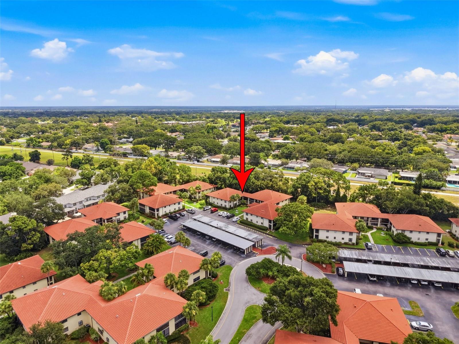 1309 Hammock Pine Unit 1309, Clearwater, FL 33761