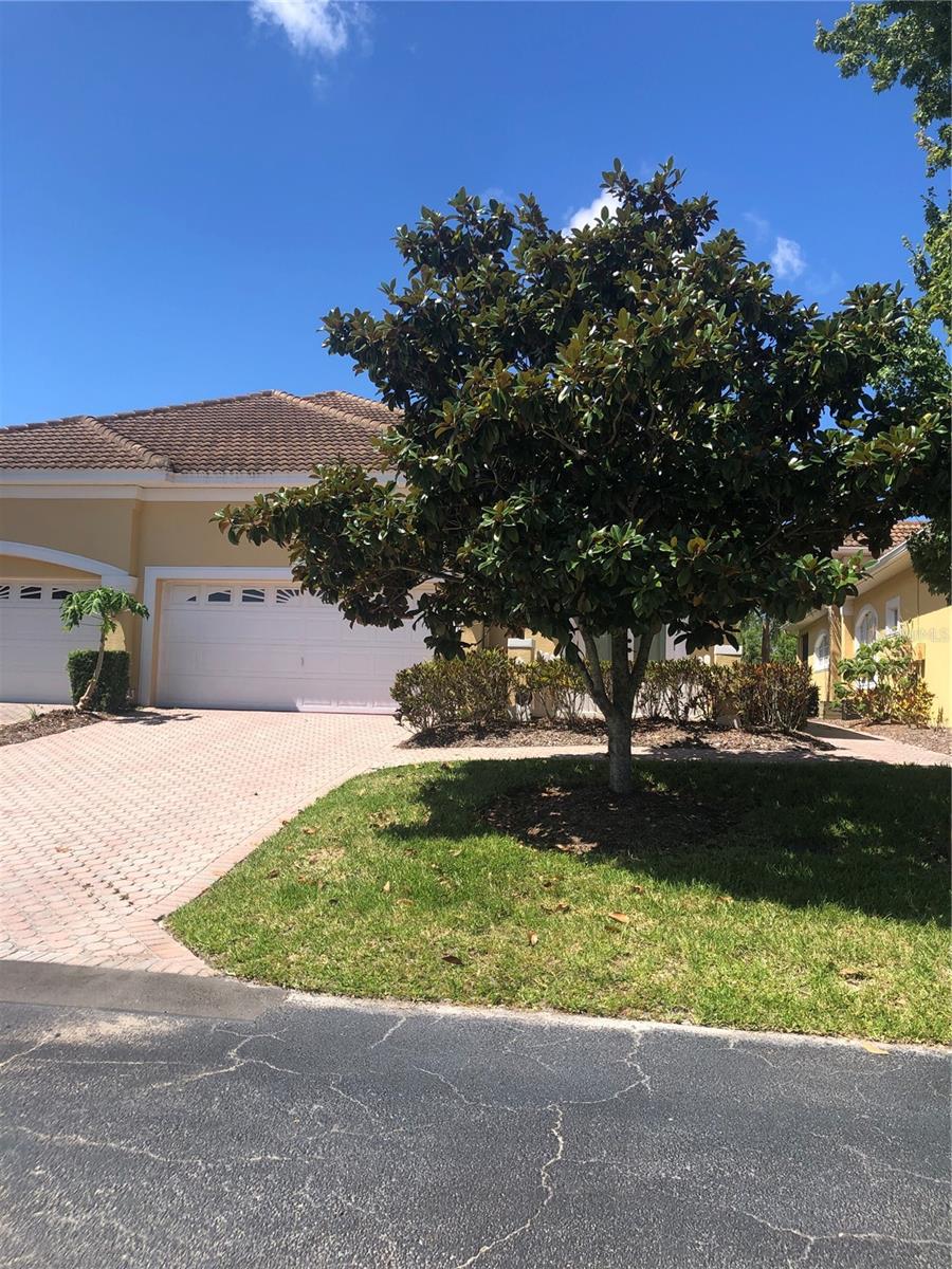 4704 Casswell, New Port Richey, FL 34652