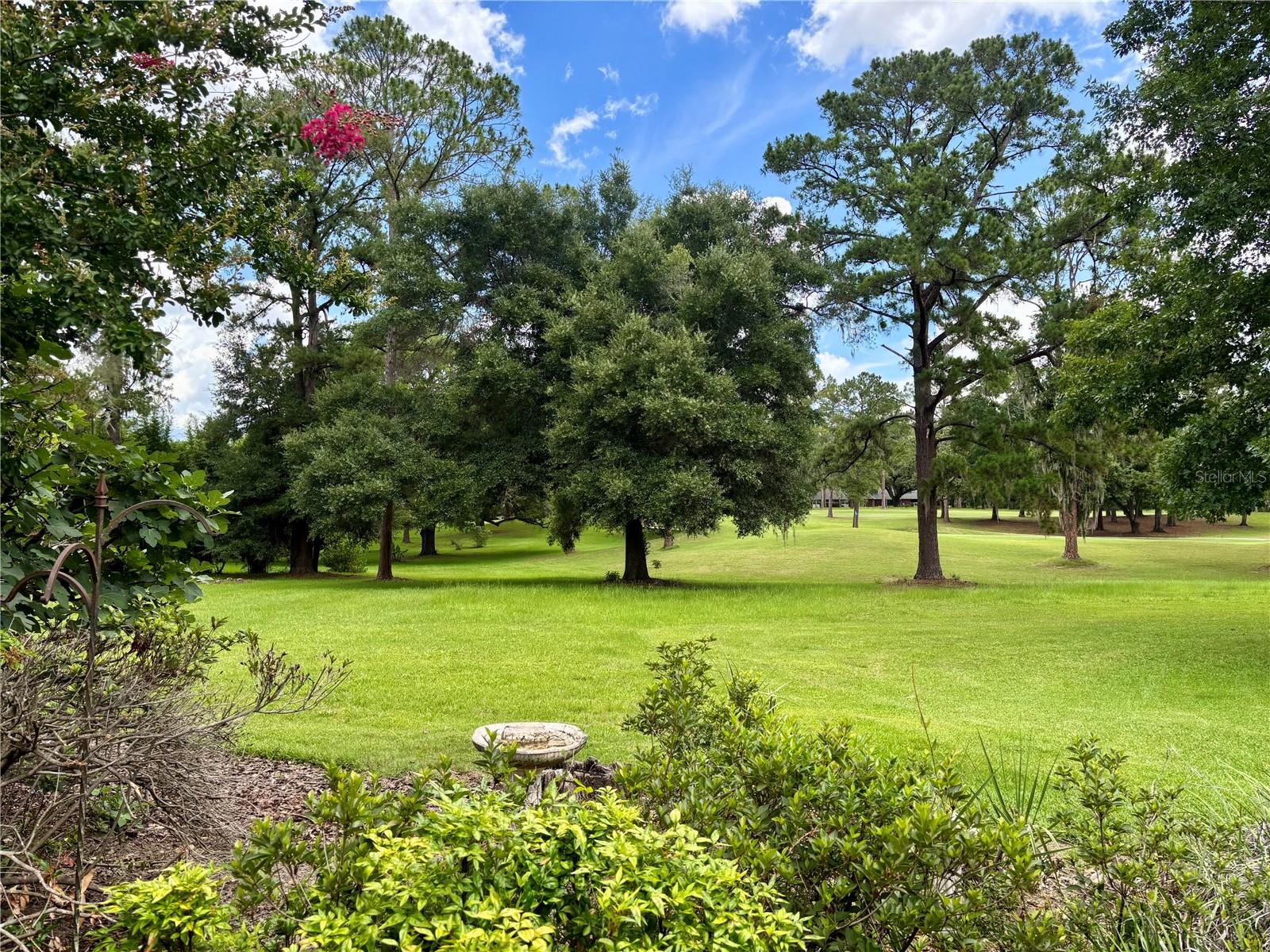 10961 Palmetto, Alachua, FL 32615