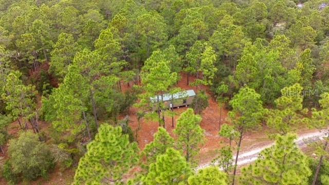 10890 133rd, Dunnellon, FL 34431
