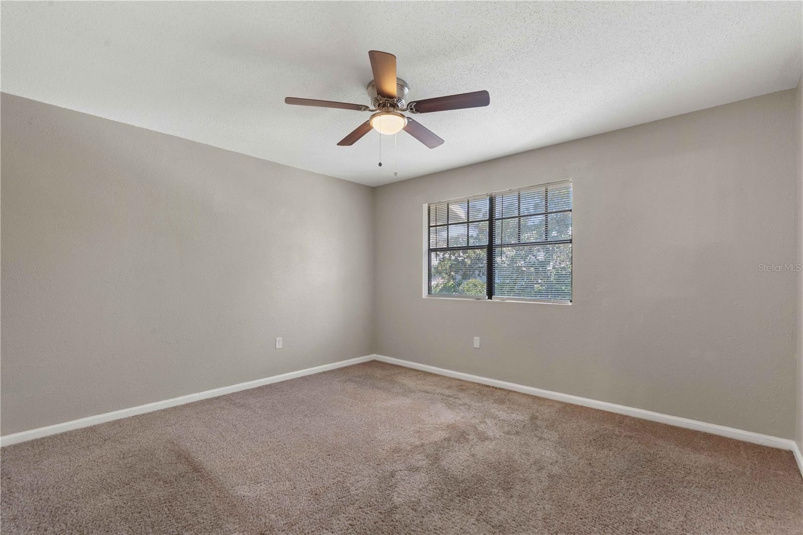 204 Pine Tulip Unit 201, Tampa, FL 33612