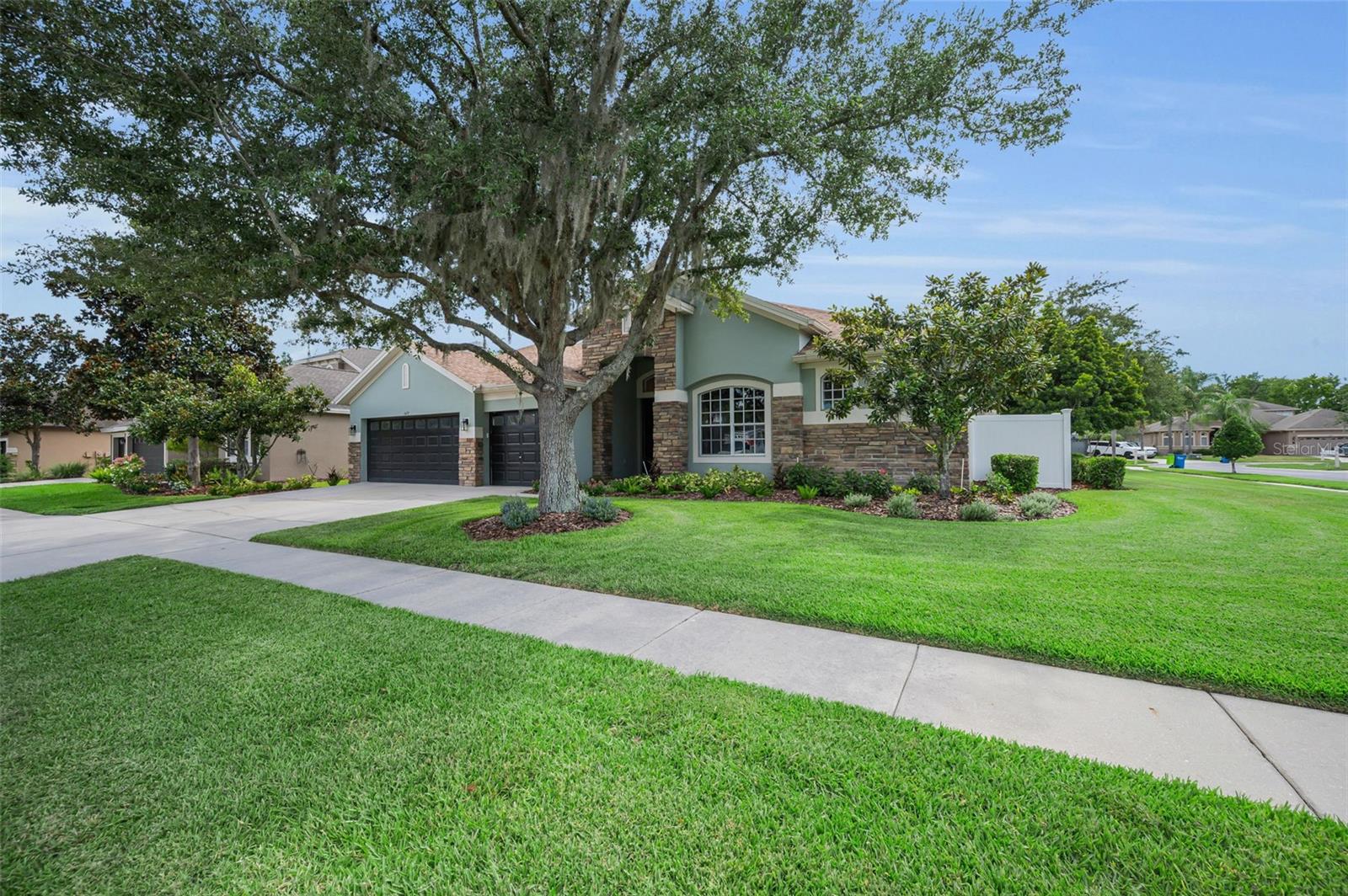 1629 Salmonberry, Wesley Chapel, FL 33543