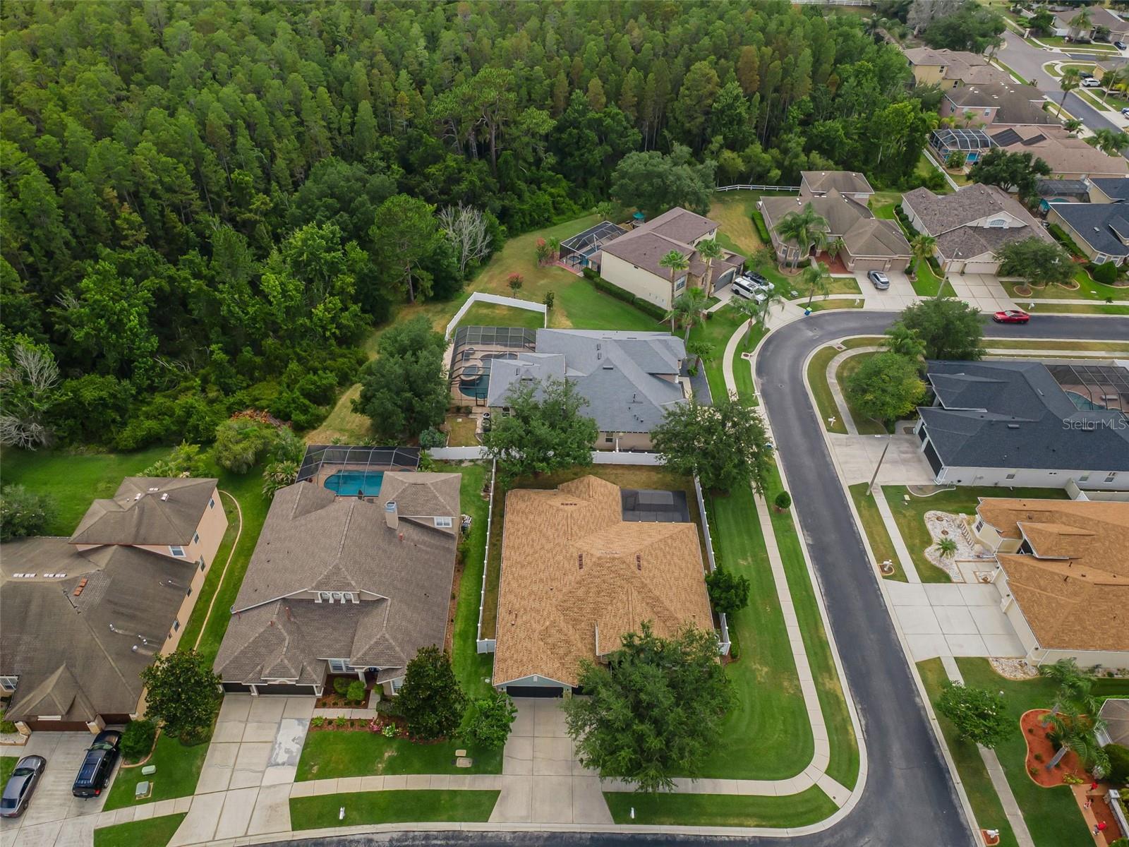 1629 Salmonberry, Wesley Chapel, FL 33543