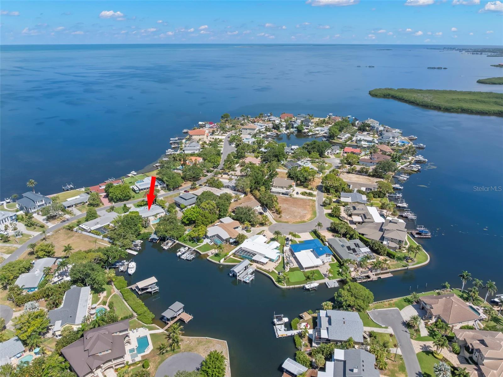 121 Carlyle, Palm Harbor, FL 34683