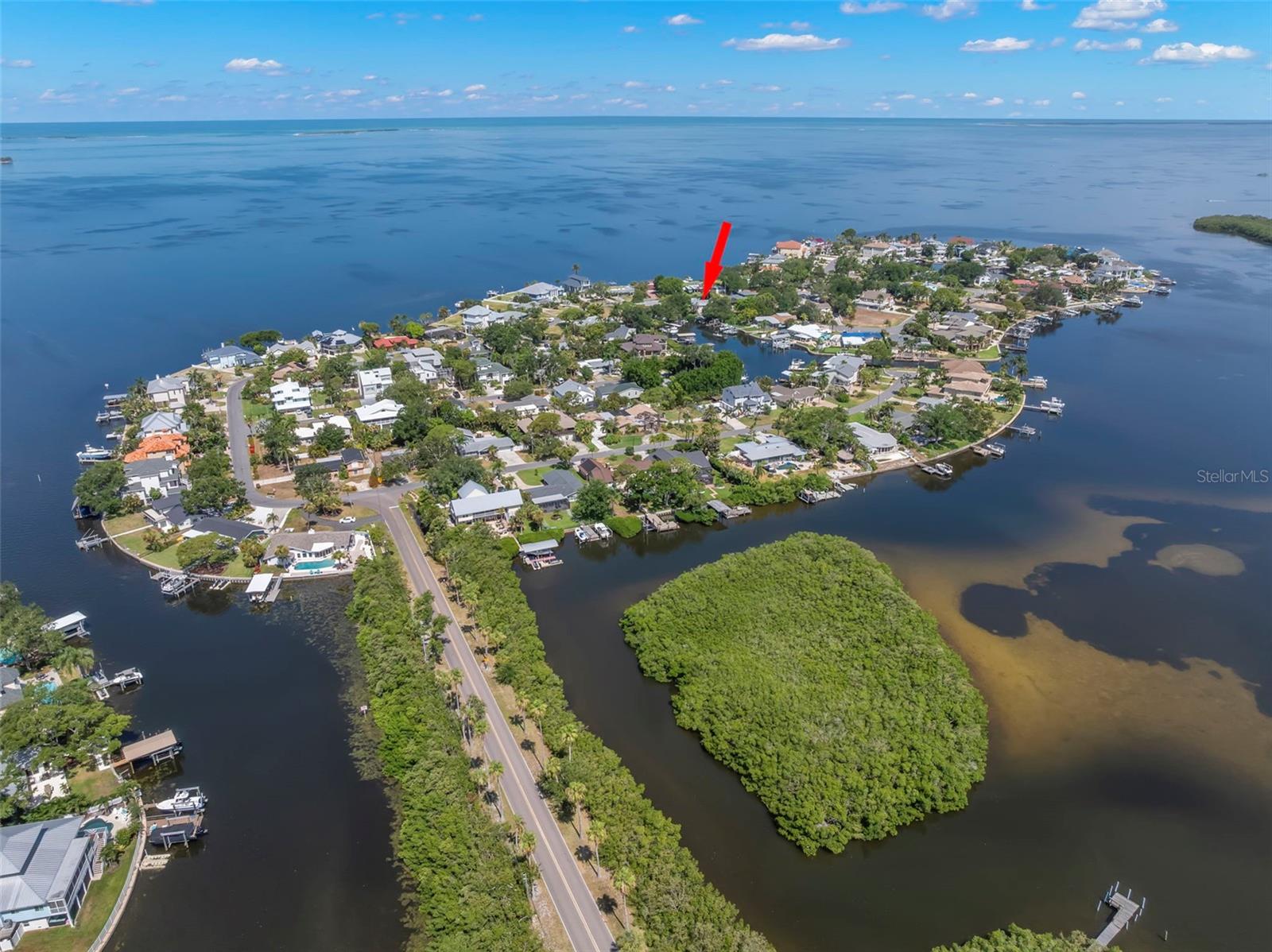 121 Carlyle, Palm Harbor, FL 34683