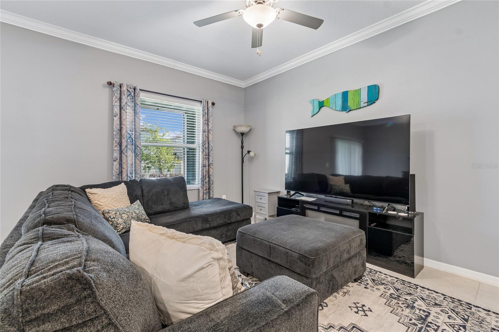 21851 Lyonia, Land O Lakes, FL 34637