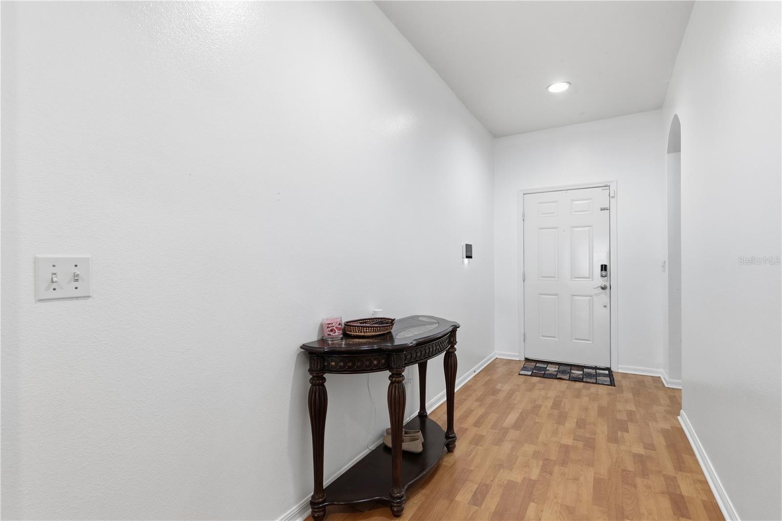 704 Parsons Pointe St, Seffner, FL 33584