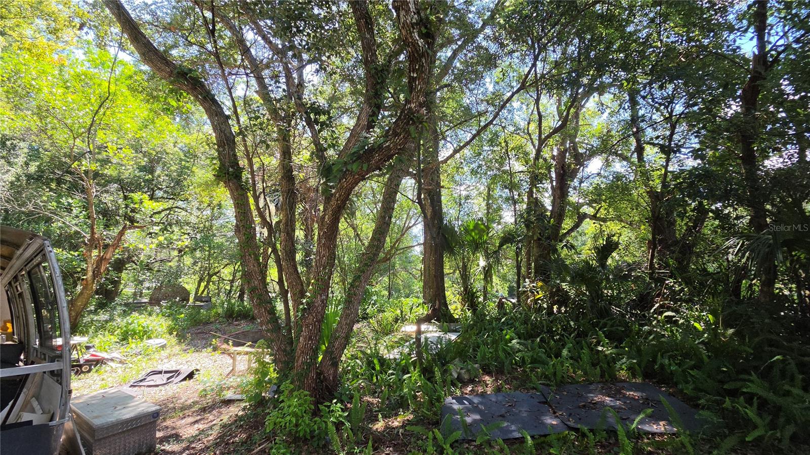 236 Amelia, Deland, FL 32724