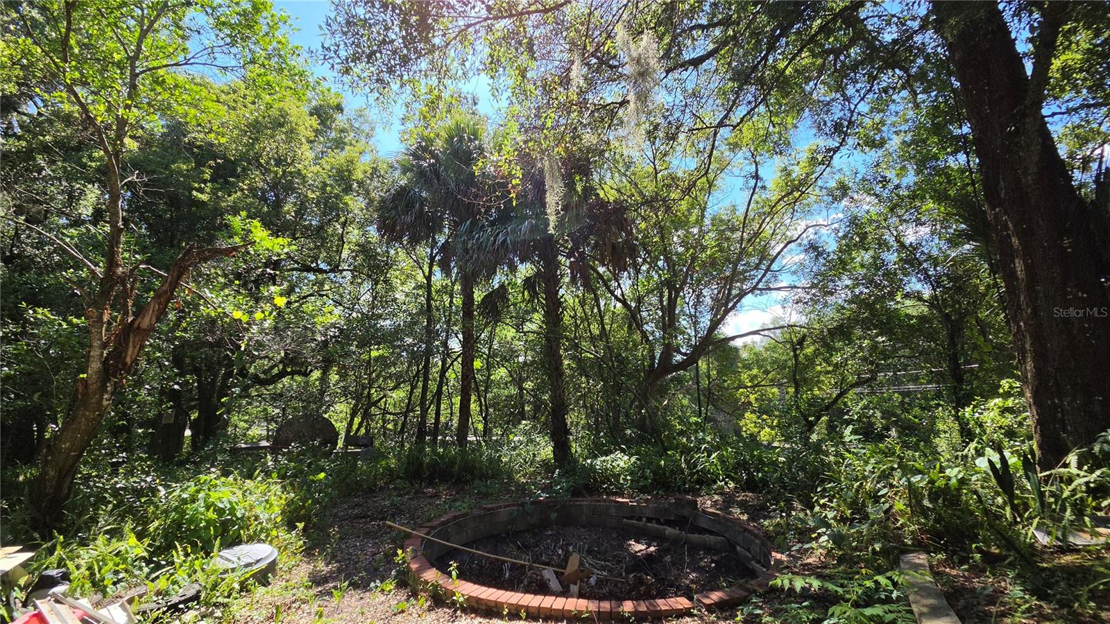 236 Amelia, Deland, FL 32724