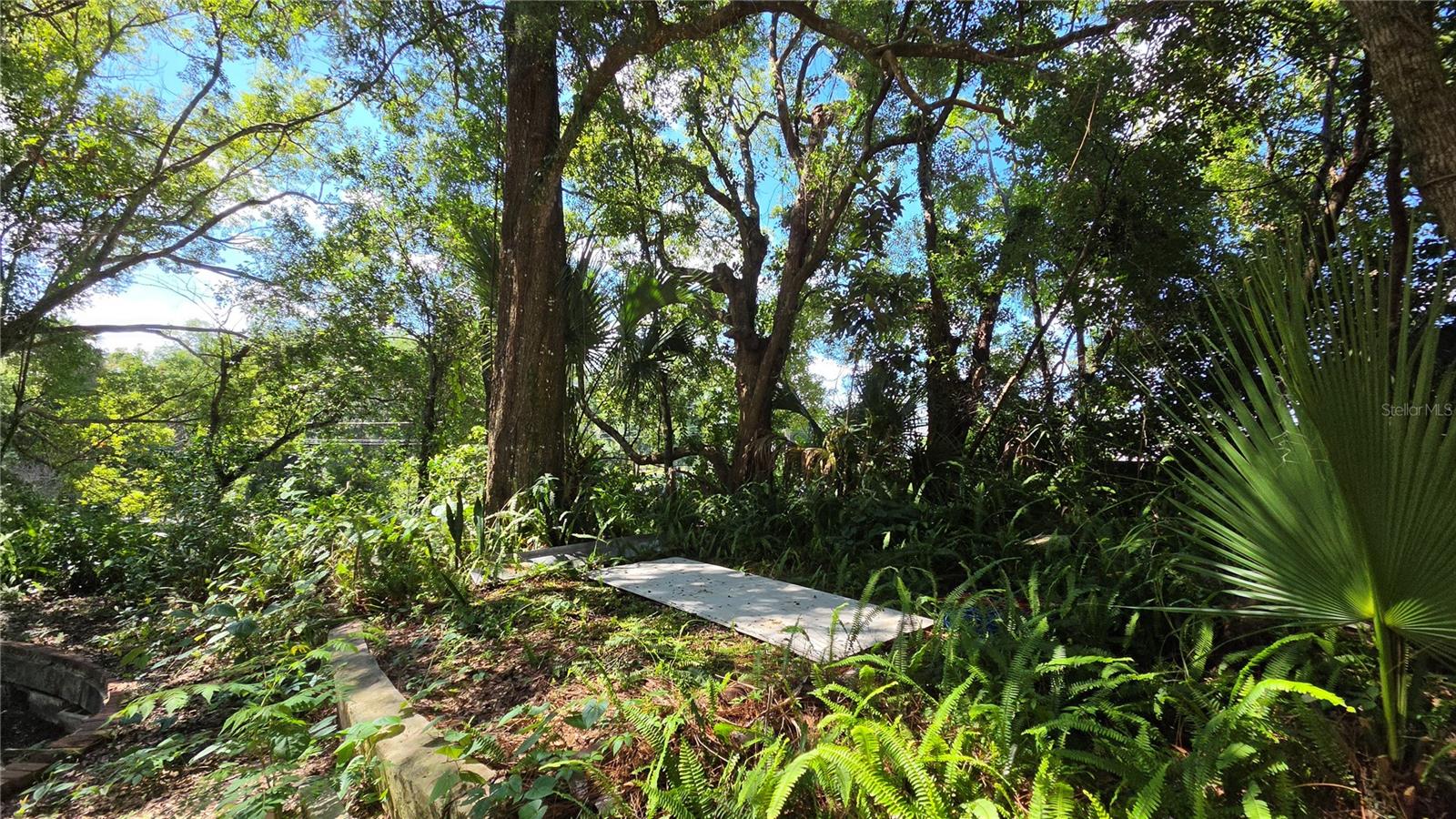 236 Amelia, Deland, FL 32724