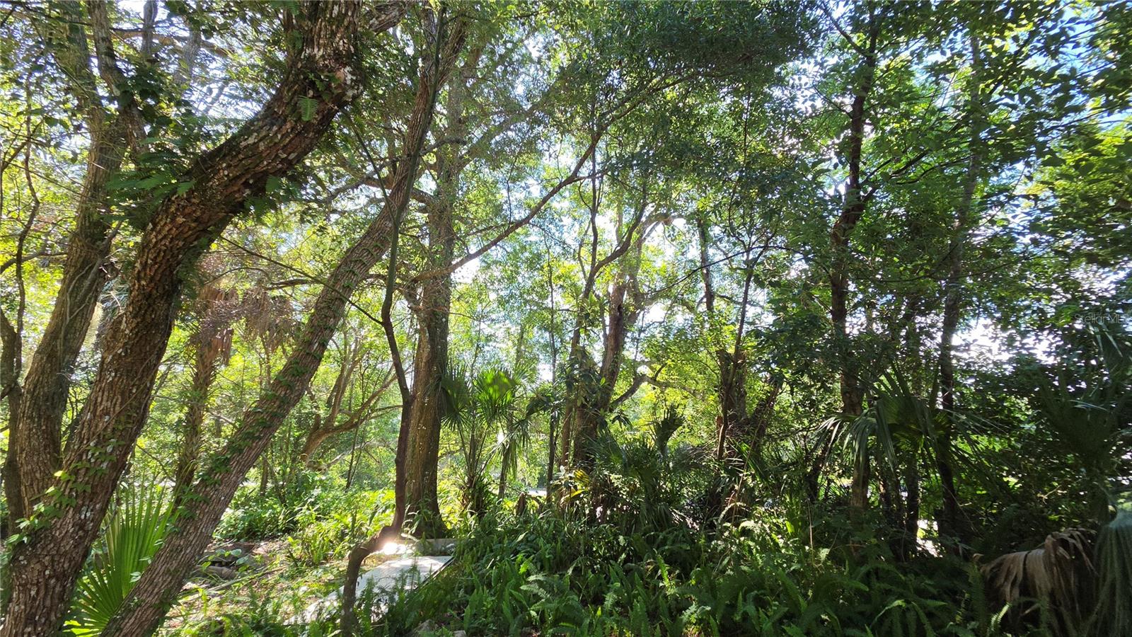 236 Amelia, Deland, FL 32724