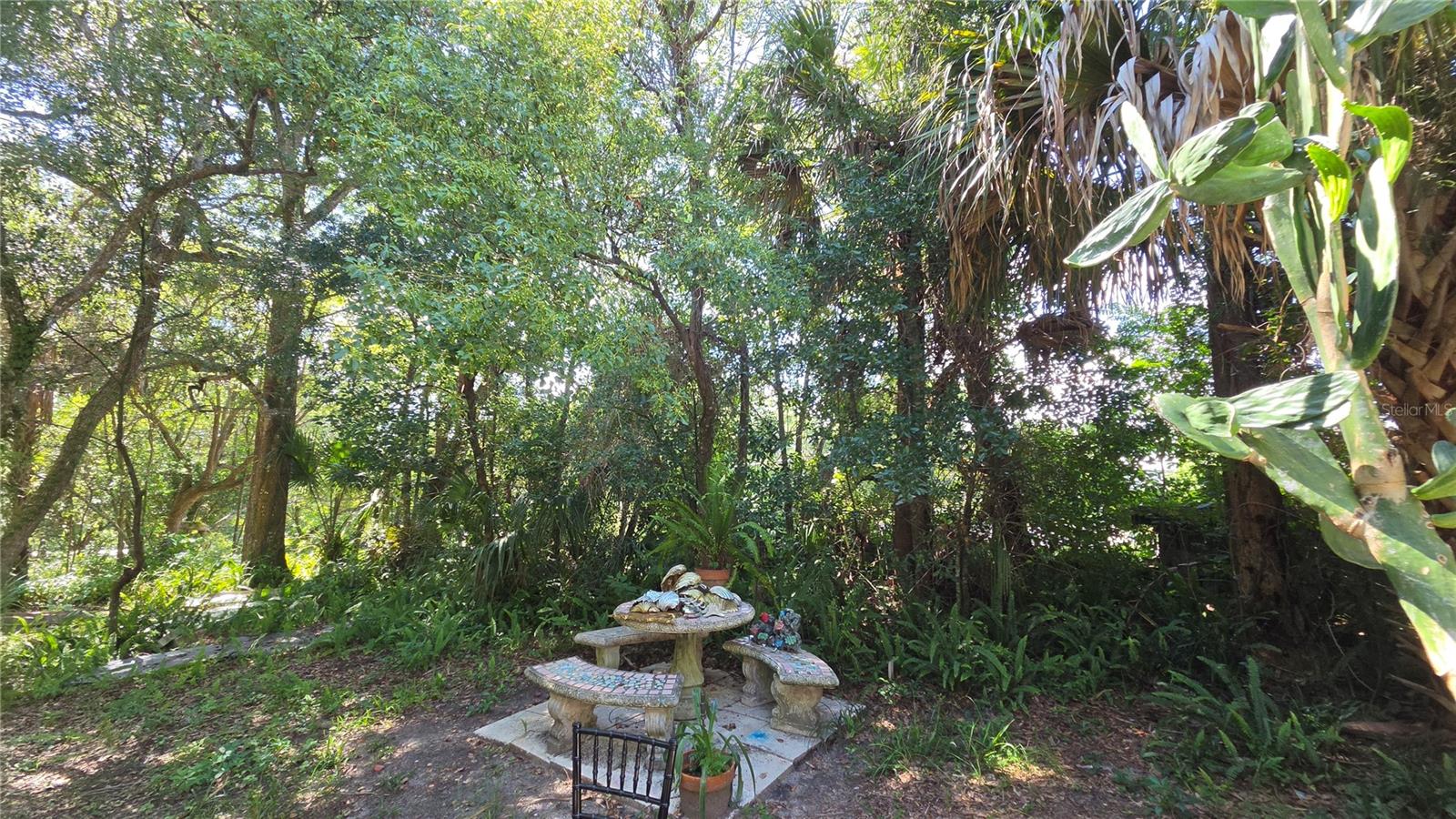 236 Amelia, Deland, FL 32724