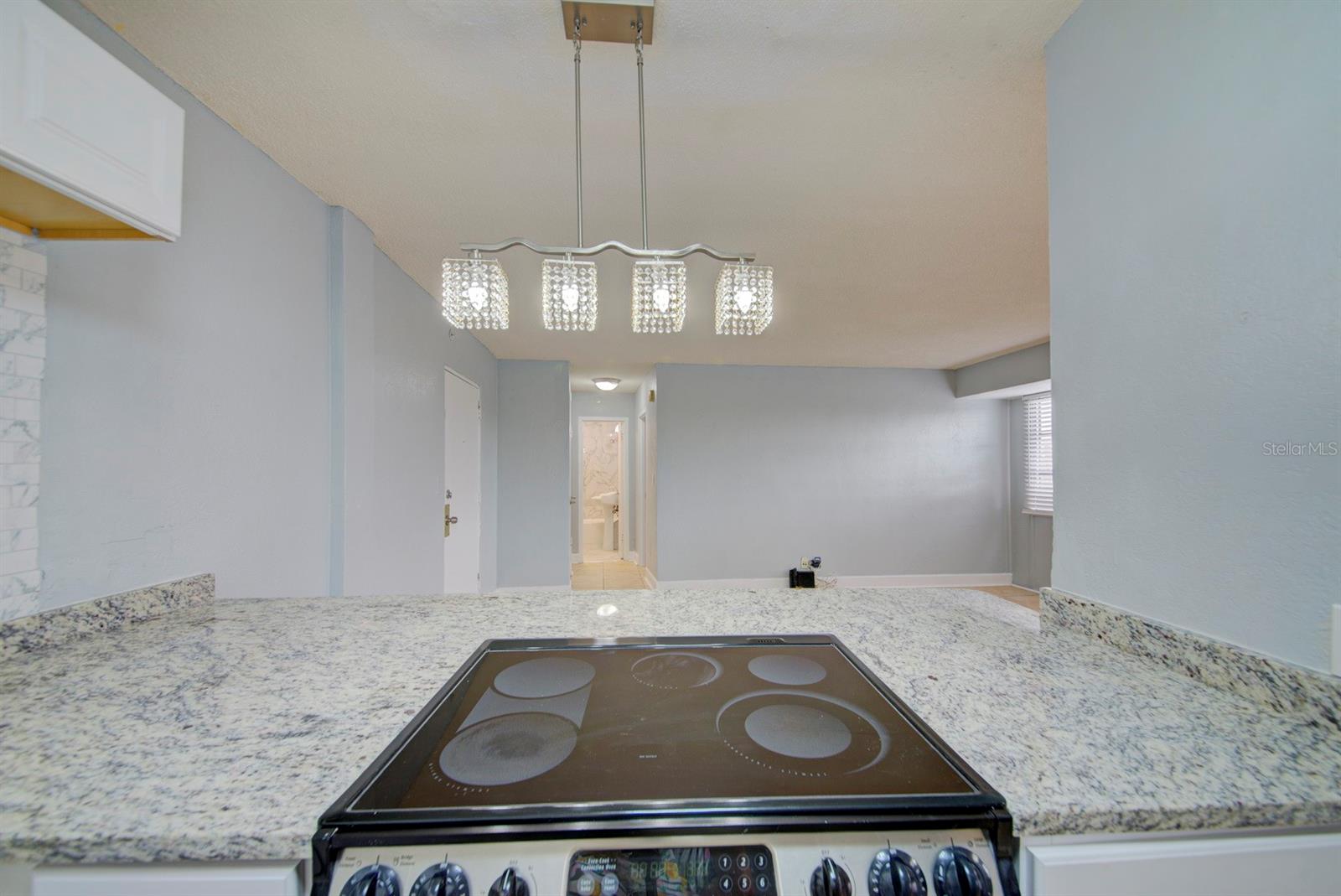 3315 58th Unit 306, St Petersburg, FL 33712