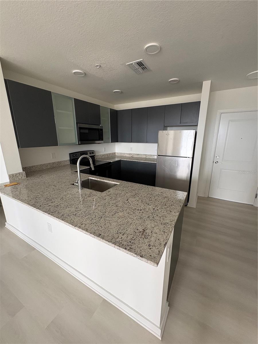 5579 Millenia Park Unit 516, Orlando, FL 32839