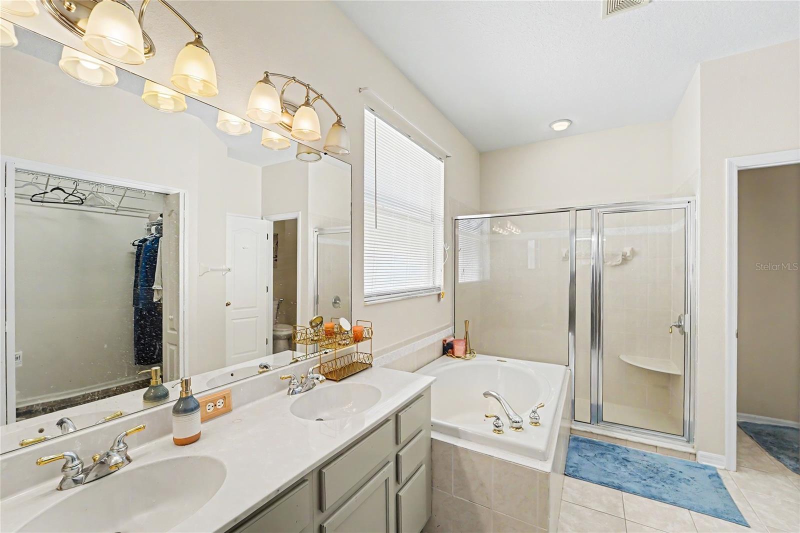 27236 Hollybrook, Wesley Chapel, FL 33544