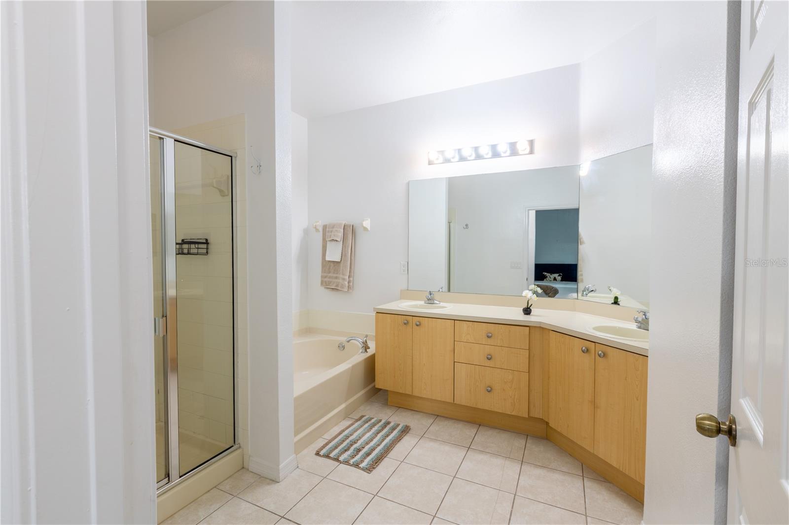 11447 Captiva Kay, Riverview, FL 33569