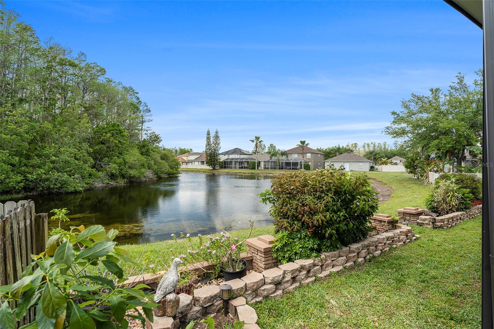 3219 Gianna, Land O Lakes, FL 34638