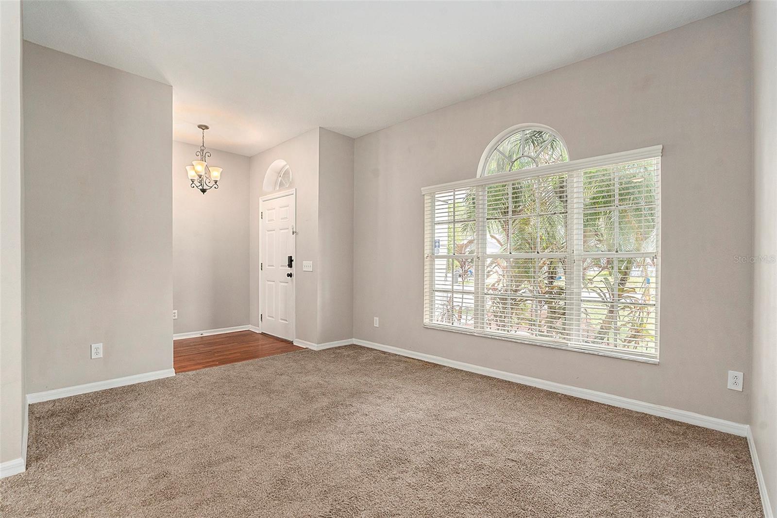 3219 Gianna, Land O Lakes, FL 34638