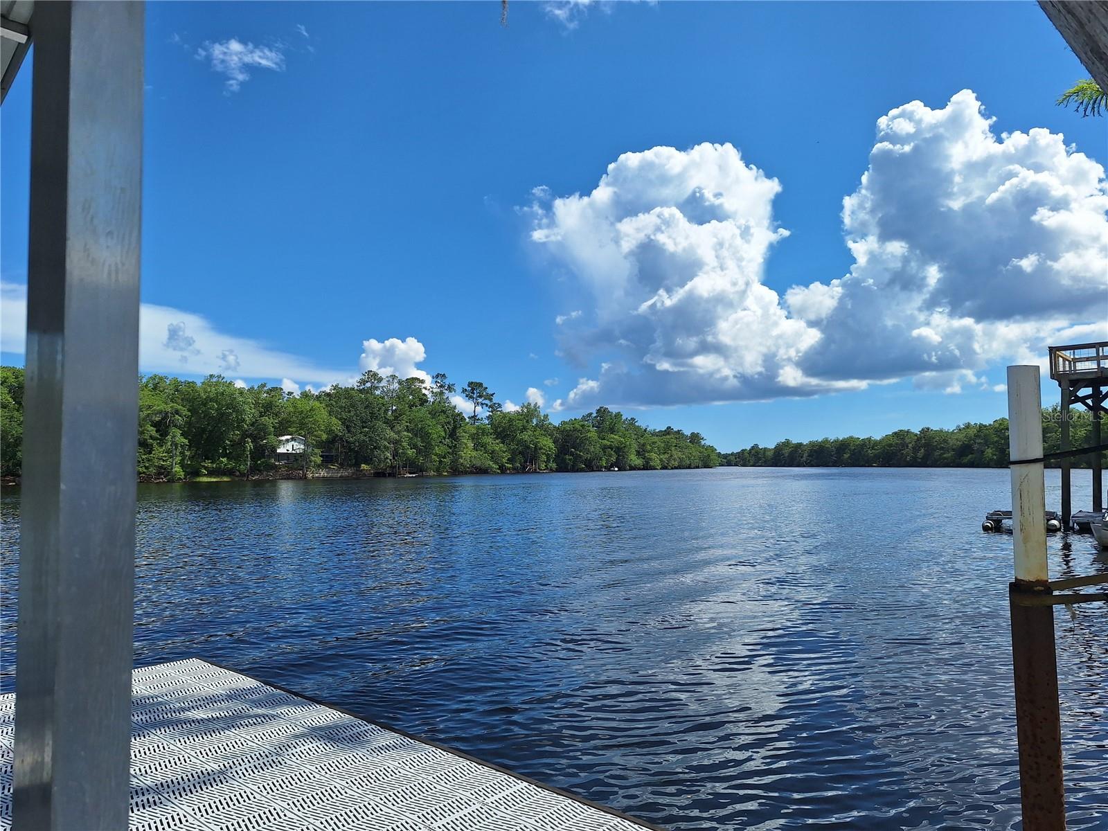 8213 Riverview, Fanning Springs, FL 32693
