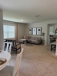 2665 Neverland, New Smyrna Beach, FL 32168
