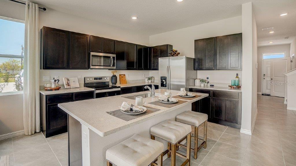 31223 Paper Birch, Wesley Chapel, FL 33545