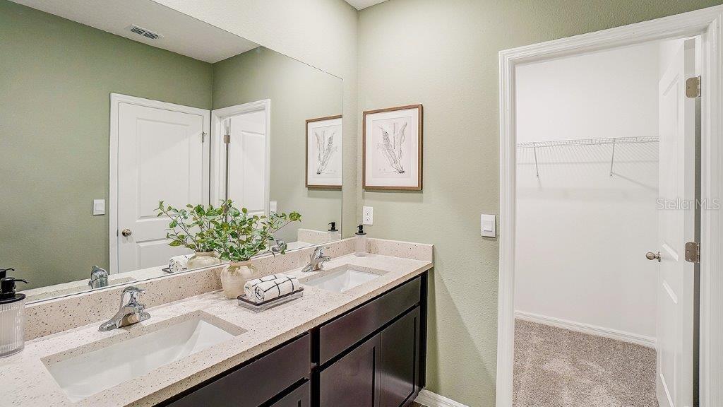 31223 Paper Birch, Wesley Chapel, FL 33545